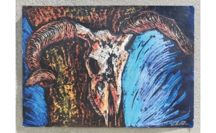 Assinalando o Dia Internacional da Juventude IPDJ acolhe exposição coletiva de pintura e fotografia de 7 Jovens artistas