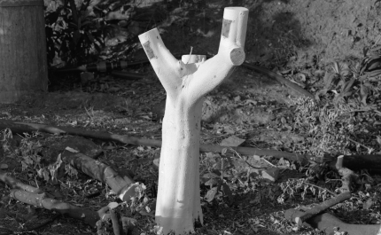 SUSTENTABILIDADE ABORDADA EM EXPOSIÇÃO EM LOULÉ