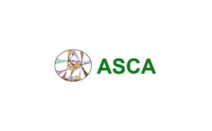 Festa de Natal da ASCA