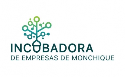 Invisible CFO, startup que faz parte da Incubadora de Empresas de Monchique (IEM), é reconhecida pelo Web Summit como Impact Startup