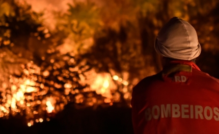 Incêndios: Proteção Civil nacional emite aviso à população com medidas preventivas
