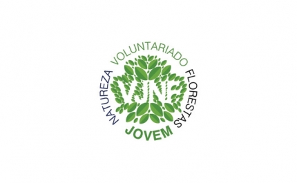 Candidaturas Abertas para Jovens Voluntários 