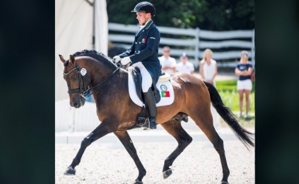 Cavaleiro Internacional  algarvio Justino Alves selecionado novamente para representar a Seleção Nacional
