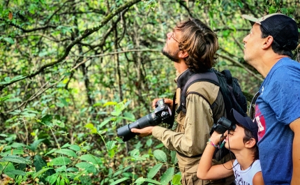 Mais de 1.500 pessoas esperadas no Festival de Observação de Aves em Sagres
