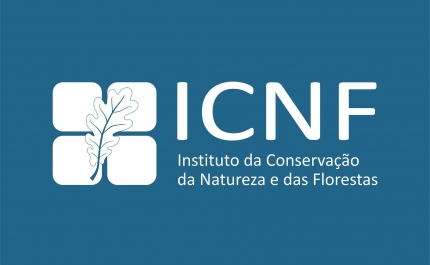 Governo determina elaboração de Programas Especiais para parques naturais do Alentejo