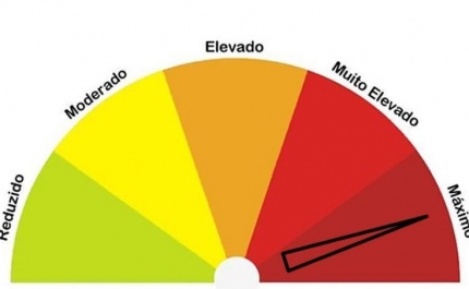 Três concelhos do distrito de Faro com risco máximo de incêndio