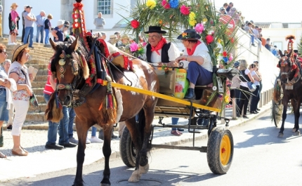 Apresentação do Conto «Era Uma Vez a Festa da Pinha»