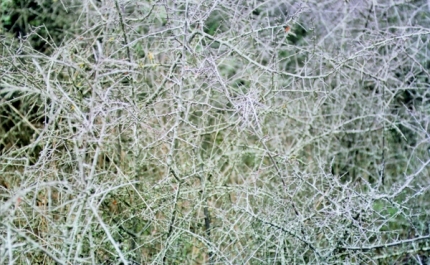 MUSEU MUNICIPAL EXPÕE COLEÇÃO DE FOTOGRAFIA DO NOVO BANCO 