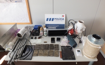 Detenção de 2 homens e 1 mulher, suspeitos da prática do crime de tráfico de estupefacientes