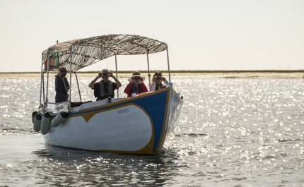Algarve capacita Agentes de Animação Turística que operam na Ria Formosa