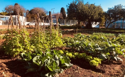 Visita às Hortas Urbanas Comunitárias de Tavira