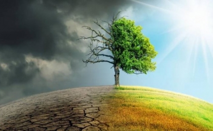 Alterações climáticas: 227 autarquias não estão preparadas