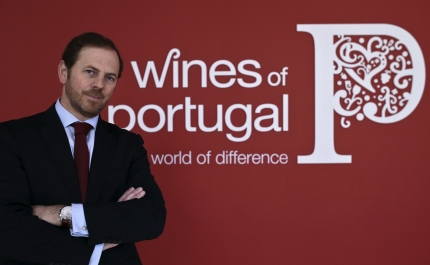 Vinhos portugueses vão em busca de «massa crítica» nos Estados Unidos