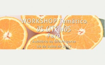 workshop Temático «Os Citrinos»