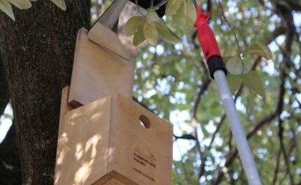 São Brás de Alportel dá ninho à natureza | MUNICÍPIO RENOVA APOSTA NO APOIO AO ALOJAMENTO LOCAL DE AVES