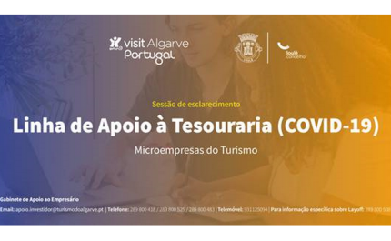SESSÃO ONLINE SOBRE LINHAS DE APOIO A MICROEMPRESAS NA ÁREA DO TURISMO