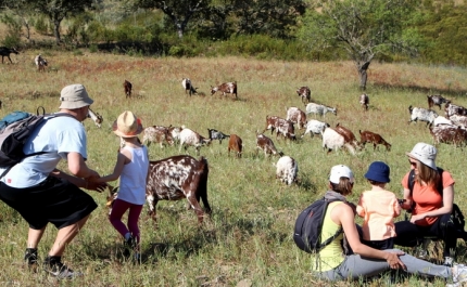 Inscrições abertas para o IV Festival de Caminhadas de Alcoutim