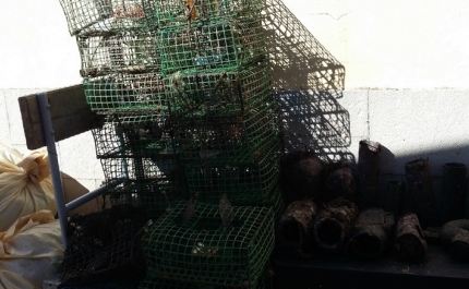 Polícia Marítima de Faro apreende artes ilegais de pesca na Ria Formosa