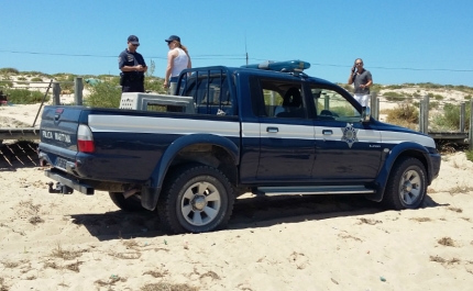 Polícia Marítima e Serviços Veterinários capturam cão perigoso na ilha de Faro