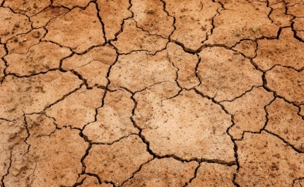 Seca: Agricultores de Odemira e Aljezur com rega este ano, mas preocupados com 2023 