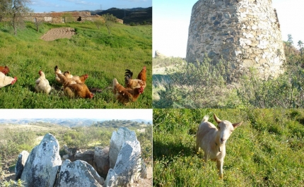 Passeio «Entre Montes e Serranias»