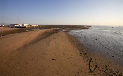 Covid-19: Rendimentos e proteção de pescadores causa preocupação na Ilha da Culatra