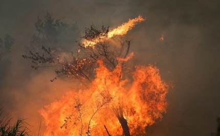 Incêndios: Fogo em Faro volta à fase de resolução após reativação ser controlada