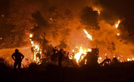 Fogo em Odemira já entrou no concelho de Monchique no Algarve