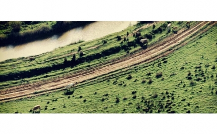 SEMINÁRIO “TERRITÓRIO E PAISAGEM: DO ORDENAMENTO AO PROJETO”