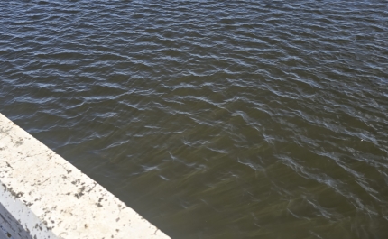 Mau tempo: Barragem alentejana do Monte da Rocha quase a descarregar para o Sado