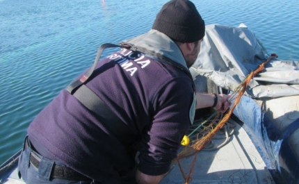 Rede com 2100 metros apreendida na ria Formosa