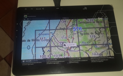 Lagos, Aljezur e Vila do Bispo adotam 