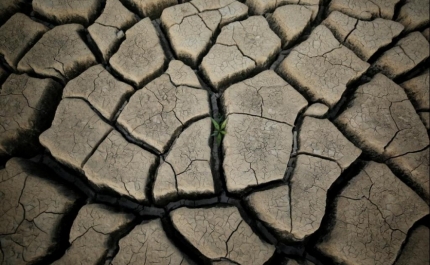 Seca: Quase todo o território em seca severa em maio, o mais quente desde 1931