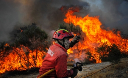 BOMBEIROS ALGARVIOS CONTAM COM APOIO DA AMAL NO COMBATE AOS INCÊNDIOS FLORESTAIS