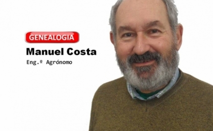 Cruzadas