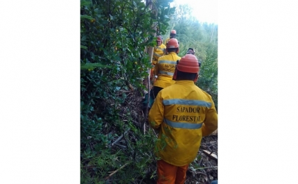 Câmara de Alcoutim apoia o desenvolvimento de ações de proteção e prevenção de fogos florestais 