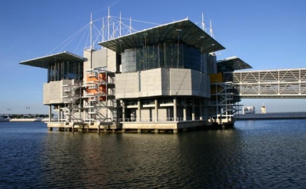 Aquashow e Disney desistem de concorrer ao Oceanário