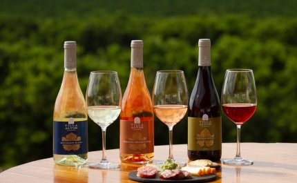 Portimão reforça estratégia no Enoturismo