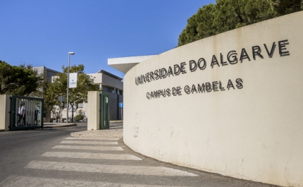 Procura internacional pela UAlg retoma com 1800 alunos estrangeiros