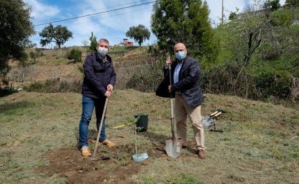 LOULÉ COMEMORA DIA INTERNACIONAL DAS FLORESTAS COM PLANTAÇÃO DE ÁRVORES NA SERRA DO CALDEIRÃO