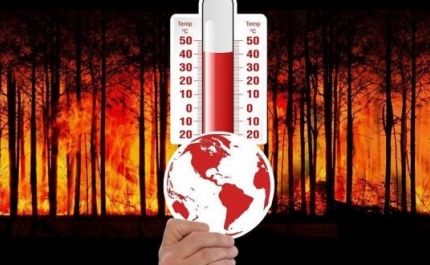 Sete concelhos do Algarve em risco máximo de incêndio