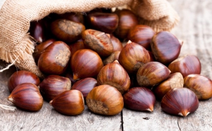 Odiana organiza convívio de São Martinho