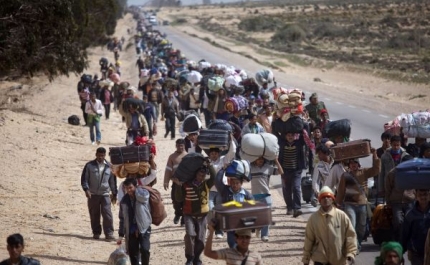 Cruz Vermelha Portuguesa da Fuseta quer acolher refugiados