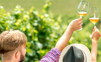 Plano de Formação + Próxima | março 2026 | «Marketing Estratégico para Enoturismo e Atividades Turísticas»  