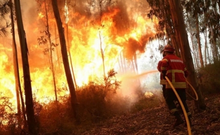 Incêndios: Mais de 30 concelhos de seis distritos em risco máximo