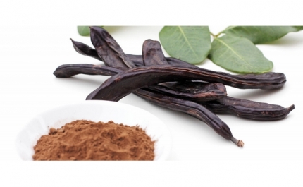 UALG DEBATE A IMPORTÂNCIA DA ALFARROBA NO ALGARVE