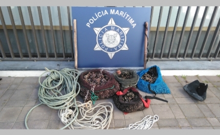 Polícia Marítima apreende 35kg de perceves na Costa Vicentina