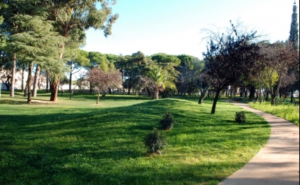 «BORA LÁ… AO PARQUE» PROMOVE ATIVIDADES PARA JUNTAR POPULAÇÃO