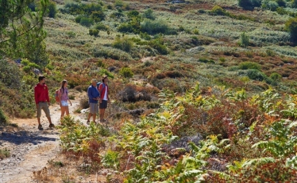Para atrair mais turistas lusos e do país vizinho | ALGARVE PARTICIPA NA FEIRA IBÉRICA DE TURISMO