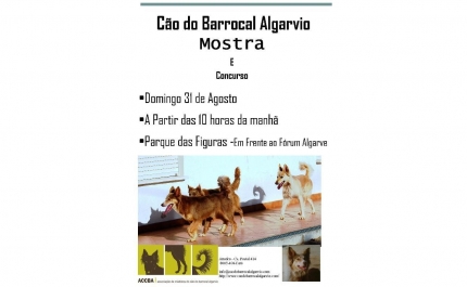 Associação ACCBA promove mostra do cão do barrocal algarvio 